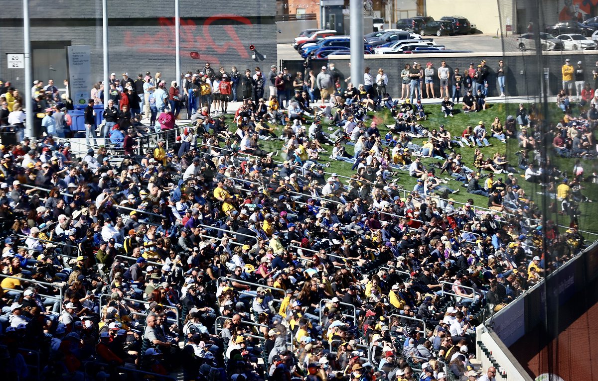 Go Shockers tweet media