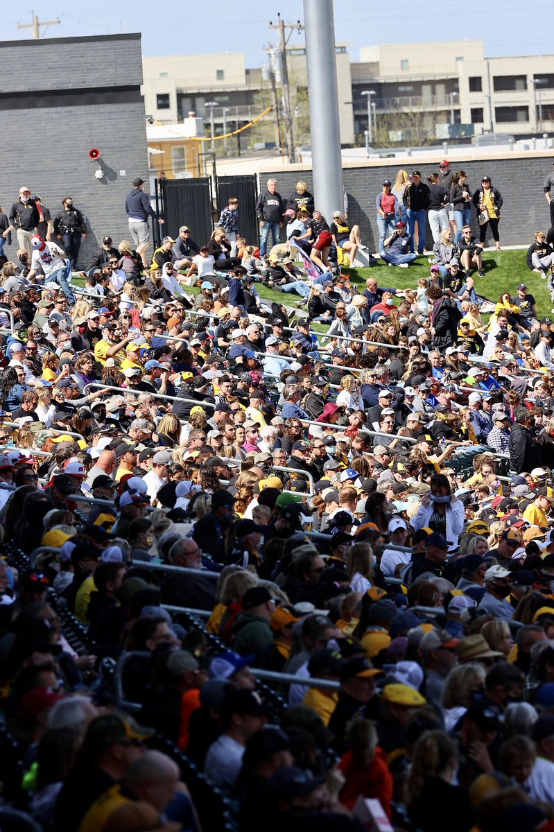 Go Shockers tweet media