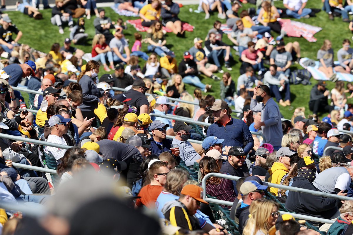 Go Shockers tweet media