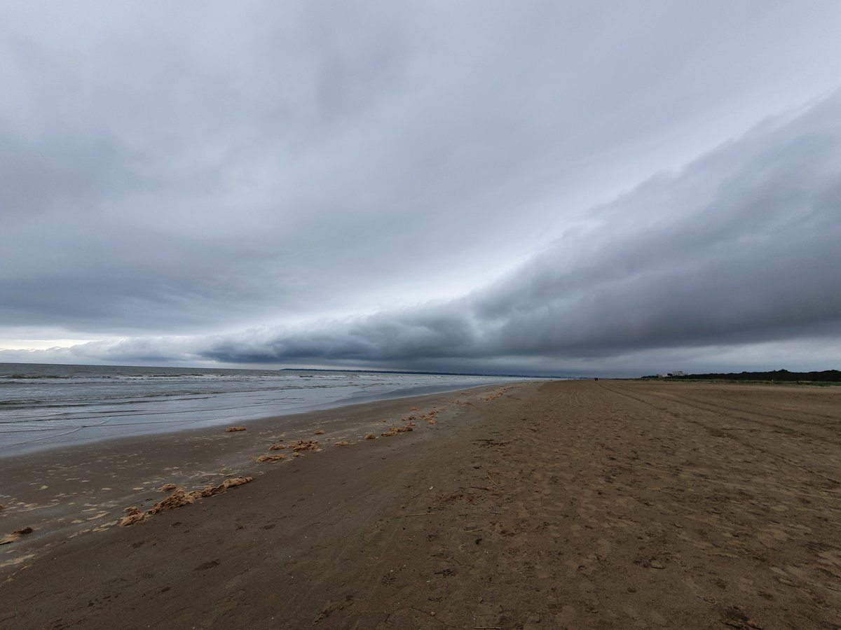 Barreau-Yu Patricia  (@barreauyu) on Twitter photo 