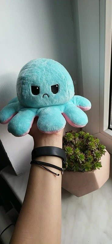 Check out these adorable reversible octopus plushies  https://squishplushies.com/products/reversible-octopus-plushie
