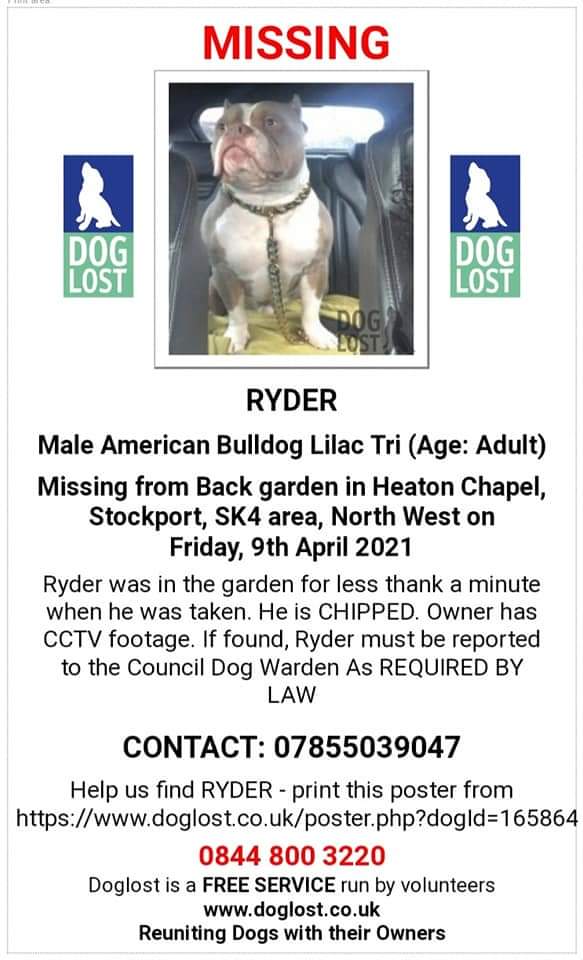 MissingPetsGB's tweet photo. 🐕URGENT SHARES NEEDED

MAKE RYDER TO HOT TO HANDLE

Ryder was taken from his garden in Heaton Chapel #Stockport #SK4 9 April.
Ryder is CHIPPED &amp; has a heartbroken family who need him home
📞07855039047, Gtr Manchester Police or Doglost with sightings/info
https://t.co/Eb8VnMqCkb https://t.co/VuG94mDbcq
