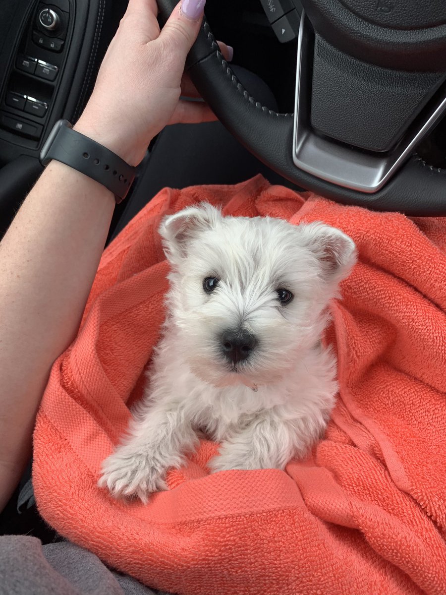 Have a great day! Bella says, “Hello”