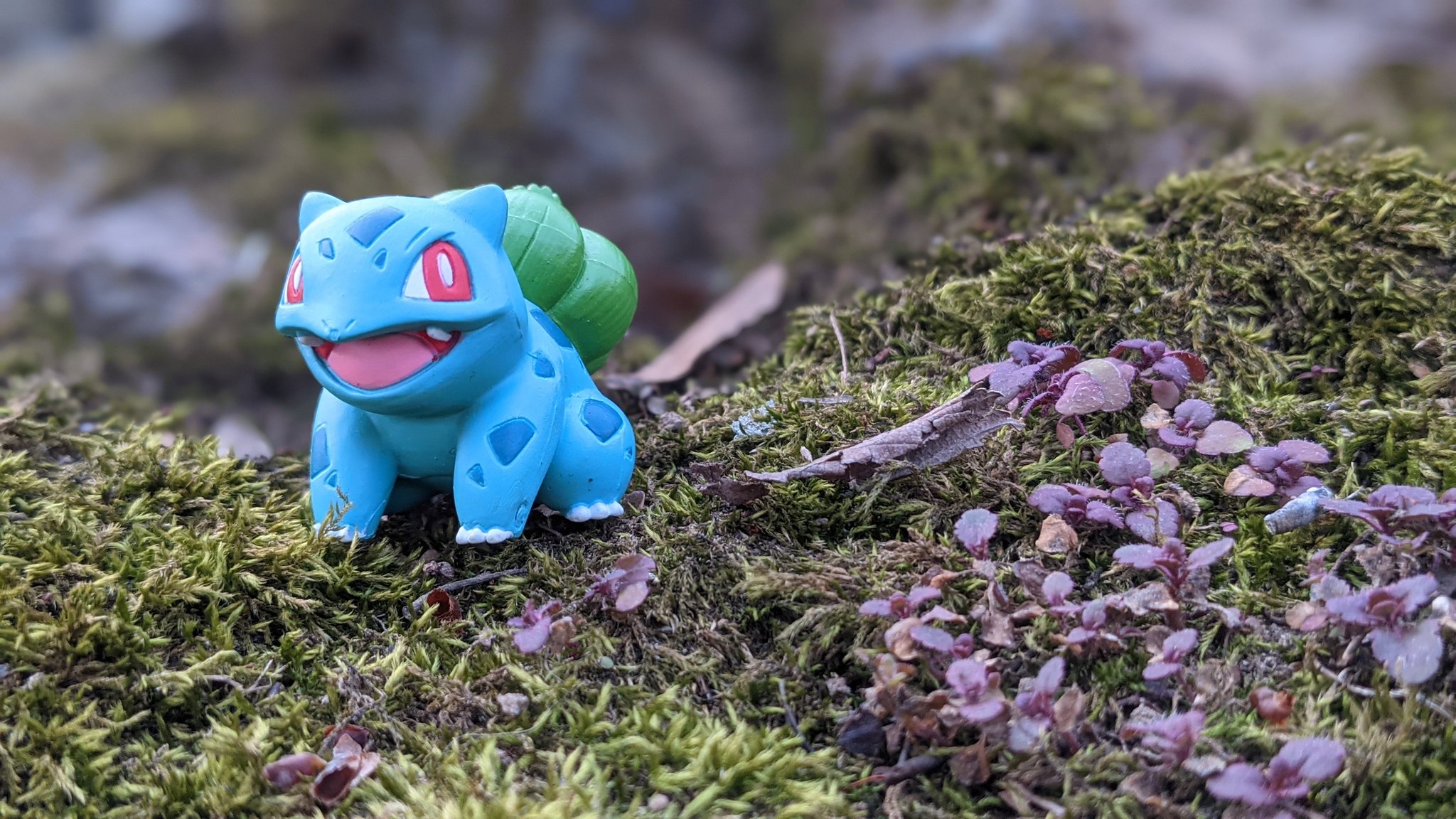 そらと Sorato 俺達おかみ会っ 分類たね ポケモン タイプ くさ どく たかさ 0 7m おもさ 6 9kg 生まれたときから 背中に 植物の タネが あって 少しずつ 大きく 育つ フシギダネ ポケモン オモ写 ポケモン写真 モンコレ フィギュア T