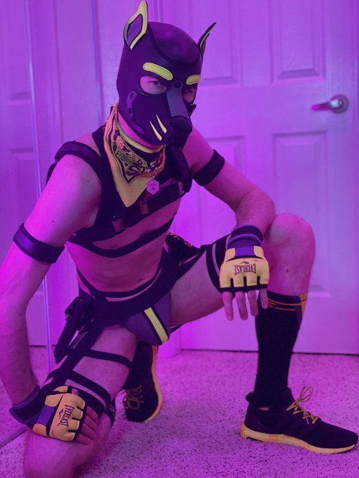 Just where do you think you&rsquo;re going puppy? https://t.co/XwlMA8wTHr