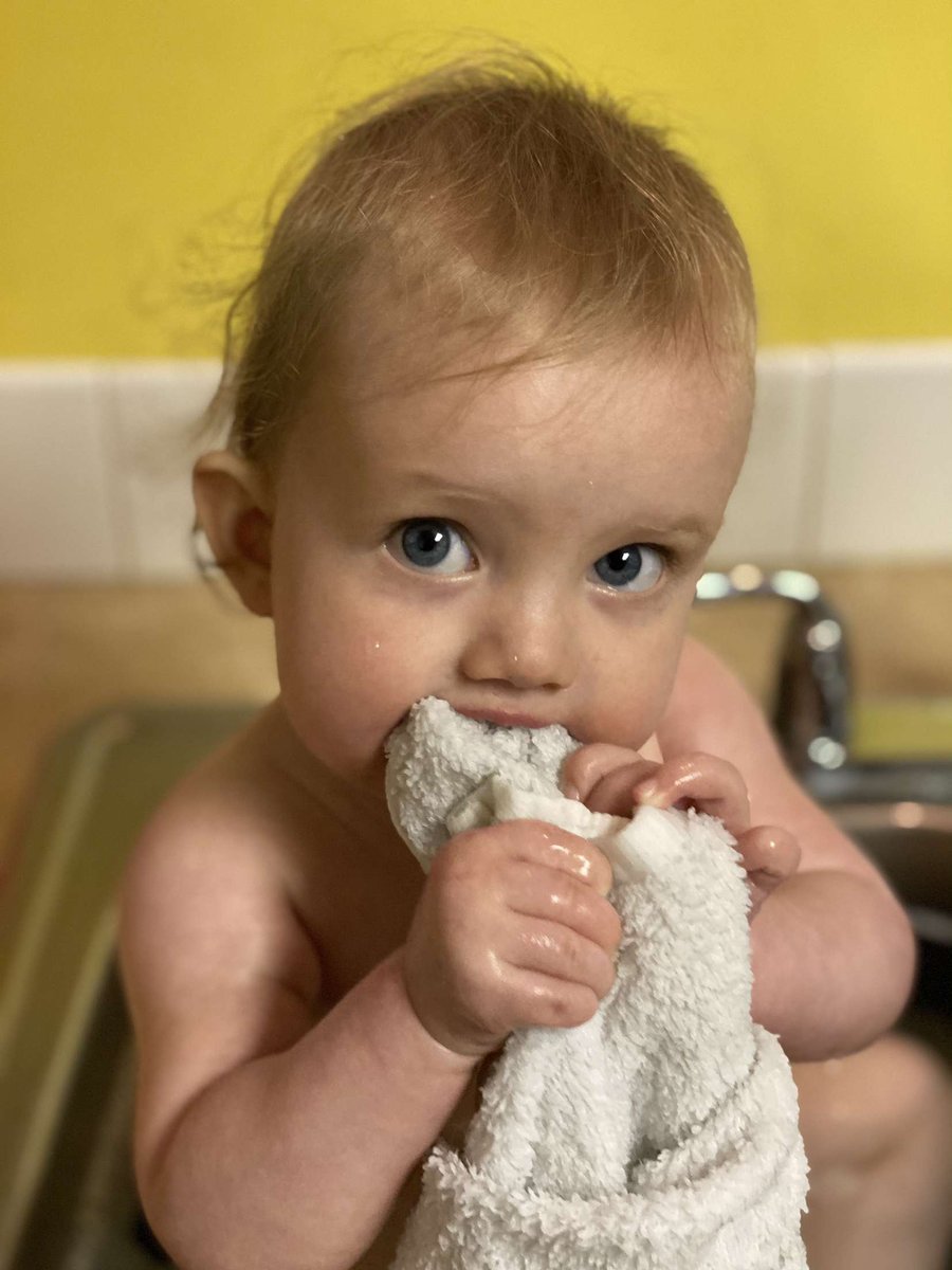 e_davis96's tweet photo. My baby is 8 months old!!!😱 I love this goober so much 🥰💕 https://t.co/O5Lpvd8kMc