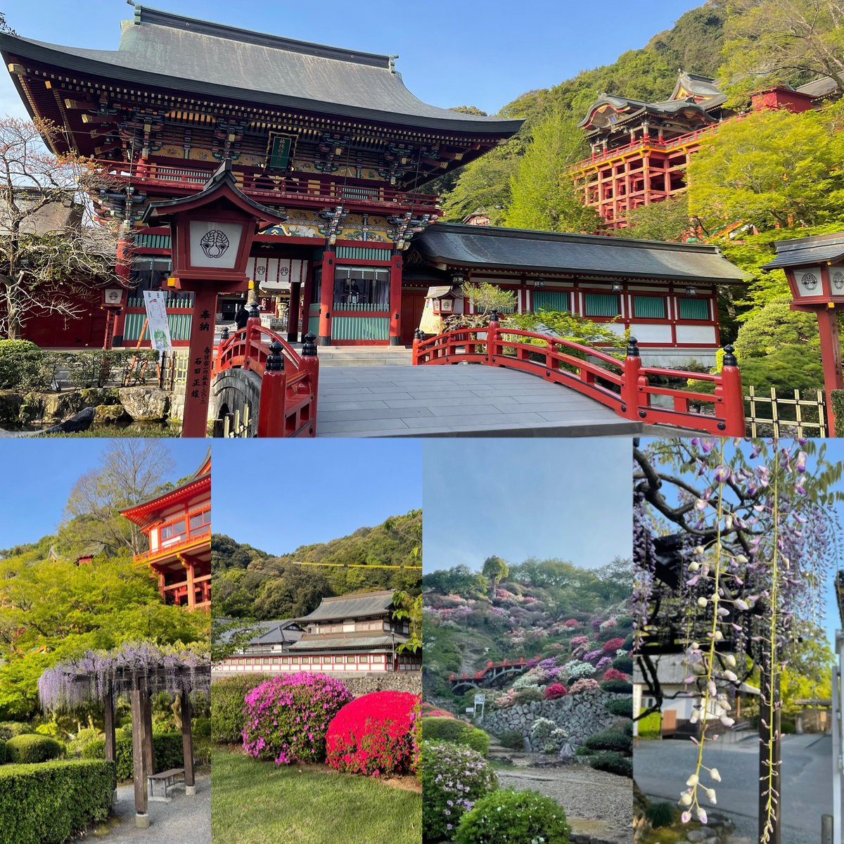 井手商店 祐徳せんべい 喫茶店 祐徳稲荷神社 朝参り ツツジ 藤の花 綺麗です 今日はお出かけ日よりですよ 是非 祐徳せんべいに来て下さい 祐徳稲荷神社 祐徳 祐徳稲荷 神社 パワースポット インスタ映え 神社めぐり 門前 祐徳 井手商店 祐徳せんべい 喫茶店 祐徳稲荷神社 朝参り ツツジ 藤の花 綺麗です 今日はお出かけ日よりですよ 是非 祐徳せんべいに来て下さい 祐徳稲荷神社 祐徳 祐徳稲荷 神社 パワースポット インスタ映え 神社めぐり 門前 祐徳