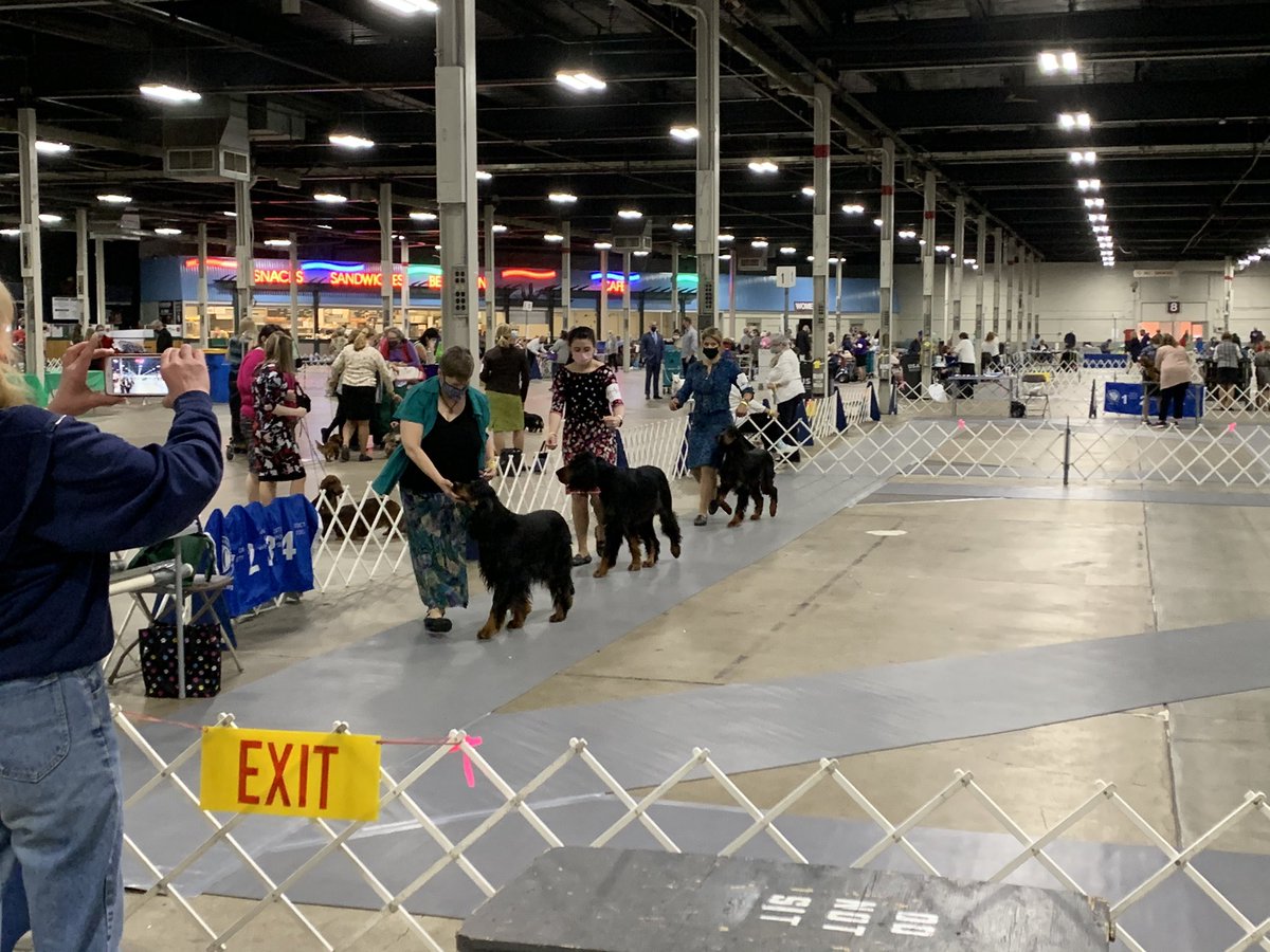 MccoyMba's tweet photo. #iFax @BooScot579 This is my family: daughter, wife/partner, my doggie boy Fax and Declan, my daughter’s doggie boy. #phdlife #MAKLife Doggie boys making the time between papers fun. Kia. Focus of the puppies. https://t.co/pBqbYVkA1E