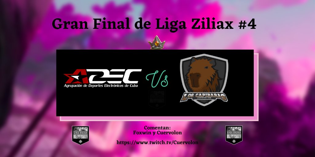 Hearthstone Paraguay tweet media