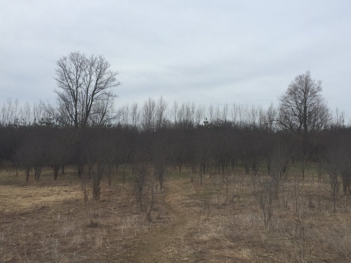 liminal momens
