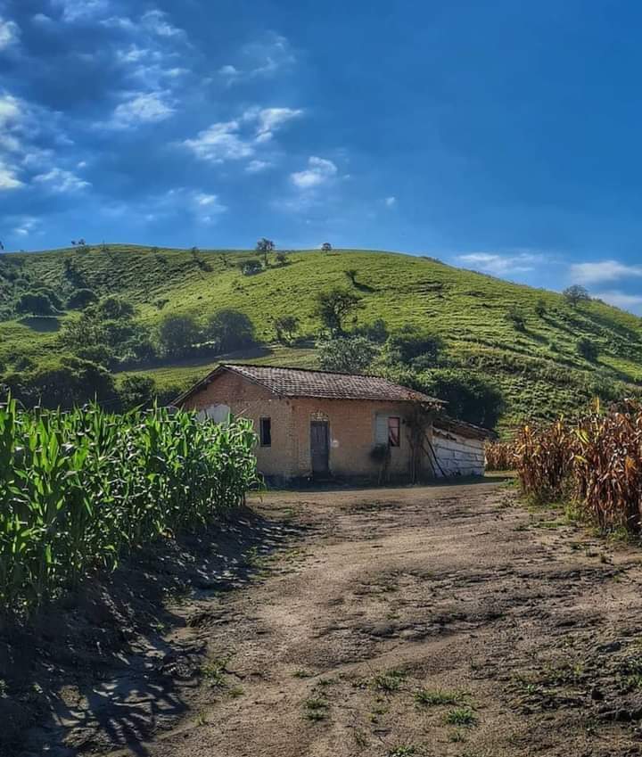 Jonas Araújo Sus (@sus_araujo) on Twitter photo 