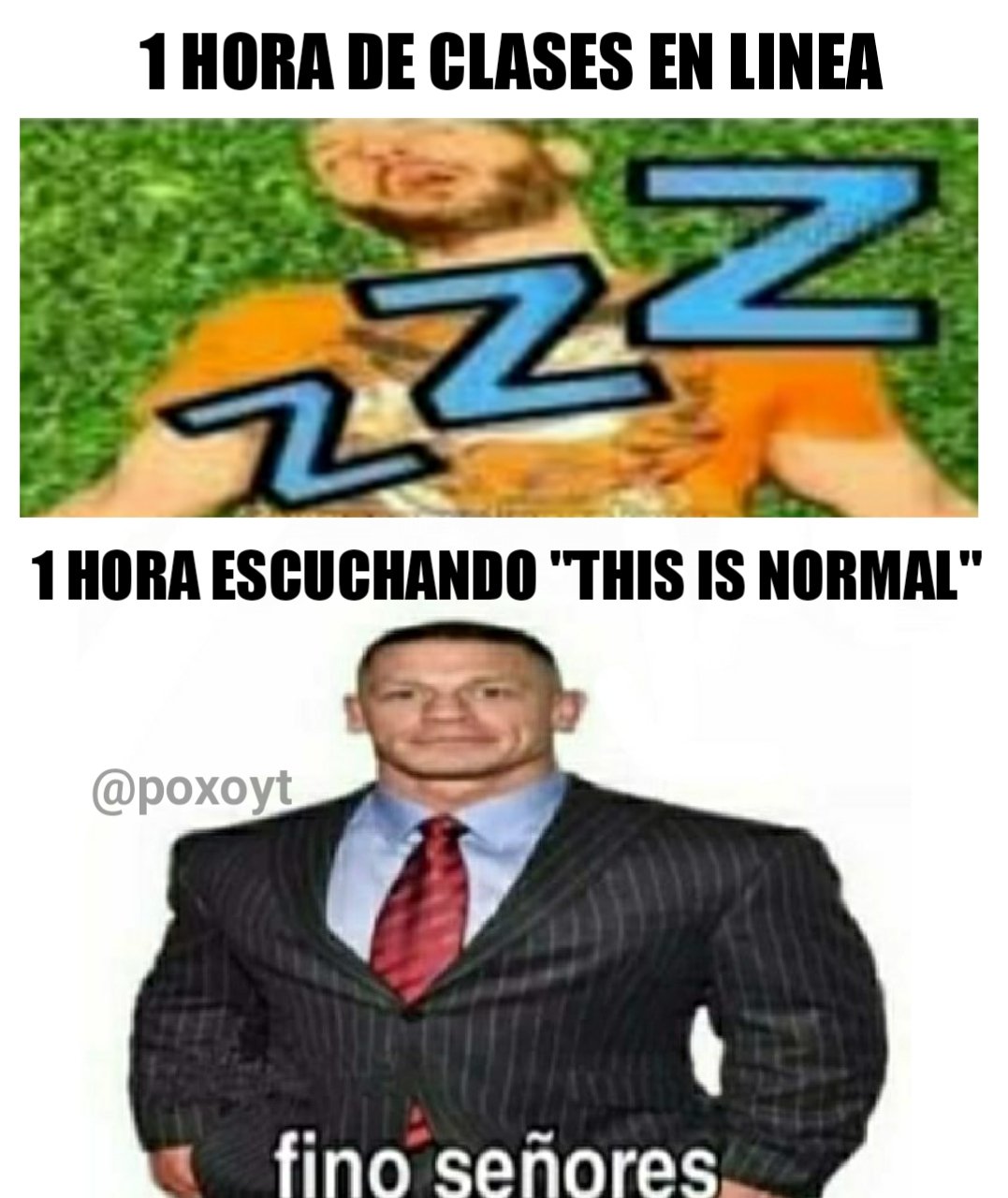 SI VEO EL MEME DE FINO SEÑORES SE ACABA EL VIDEO