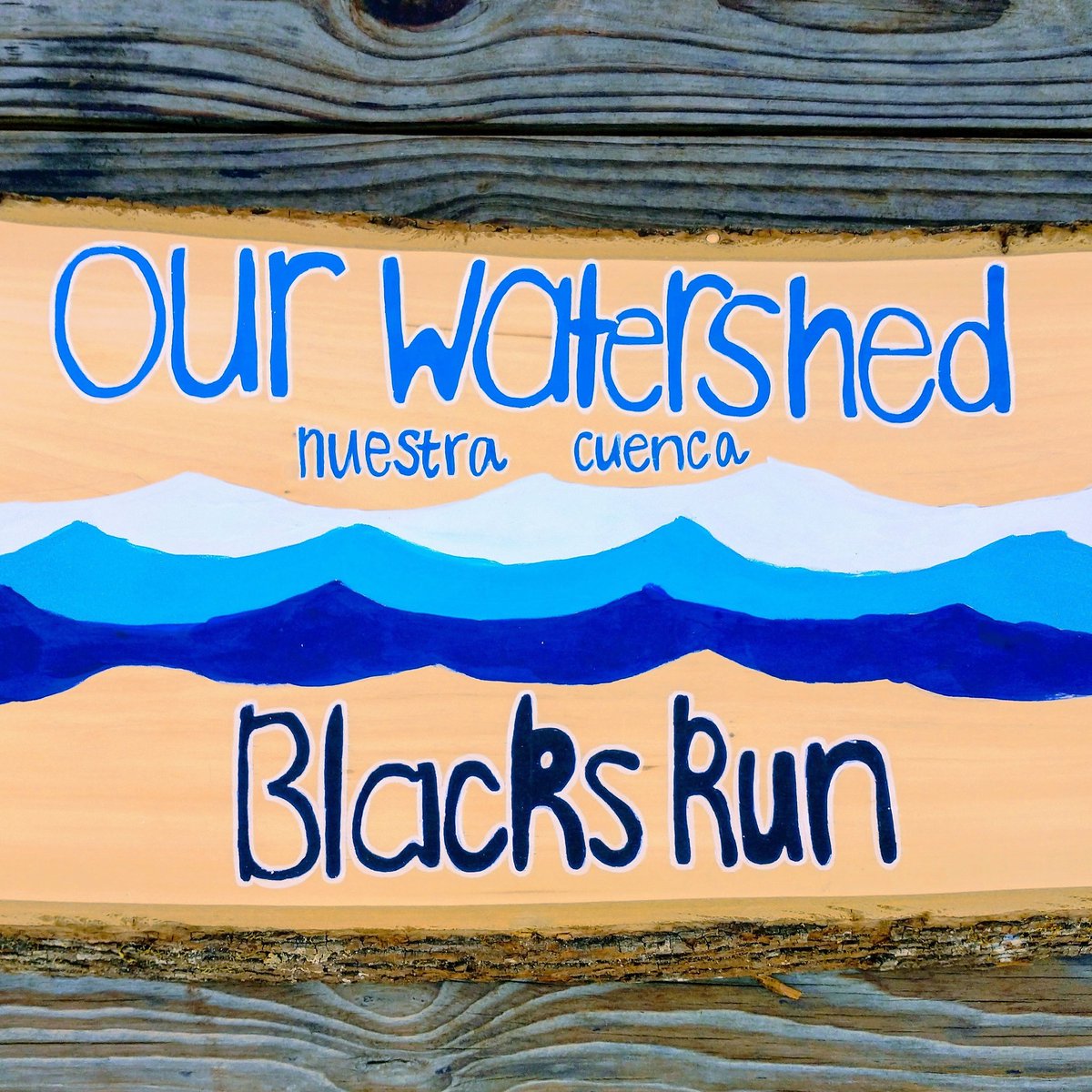 VineFigNCP's tweet image. Thanks to all who planted trees and picked up trash along Black's Run today! Thanks to Shannon Cooper for painting this sign for us to highlight our local watershed at Vine and Fig. #watershed #trashpickup #arborday #environmentalstewardship #earthdayeveryday🌎