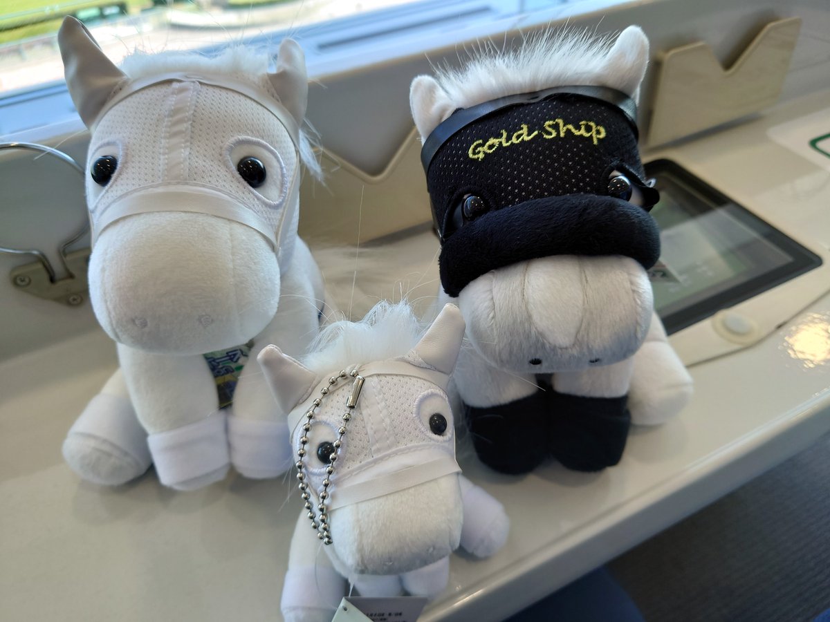 13号 ソダシ ゴールドシップぬいぐるみゲット