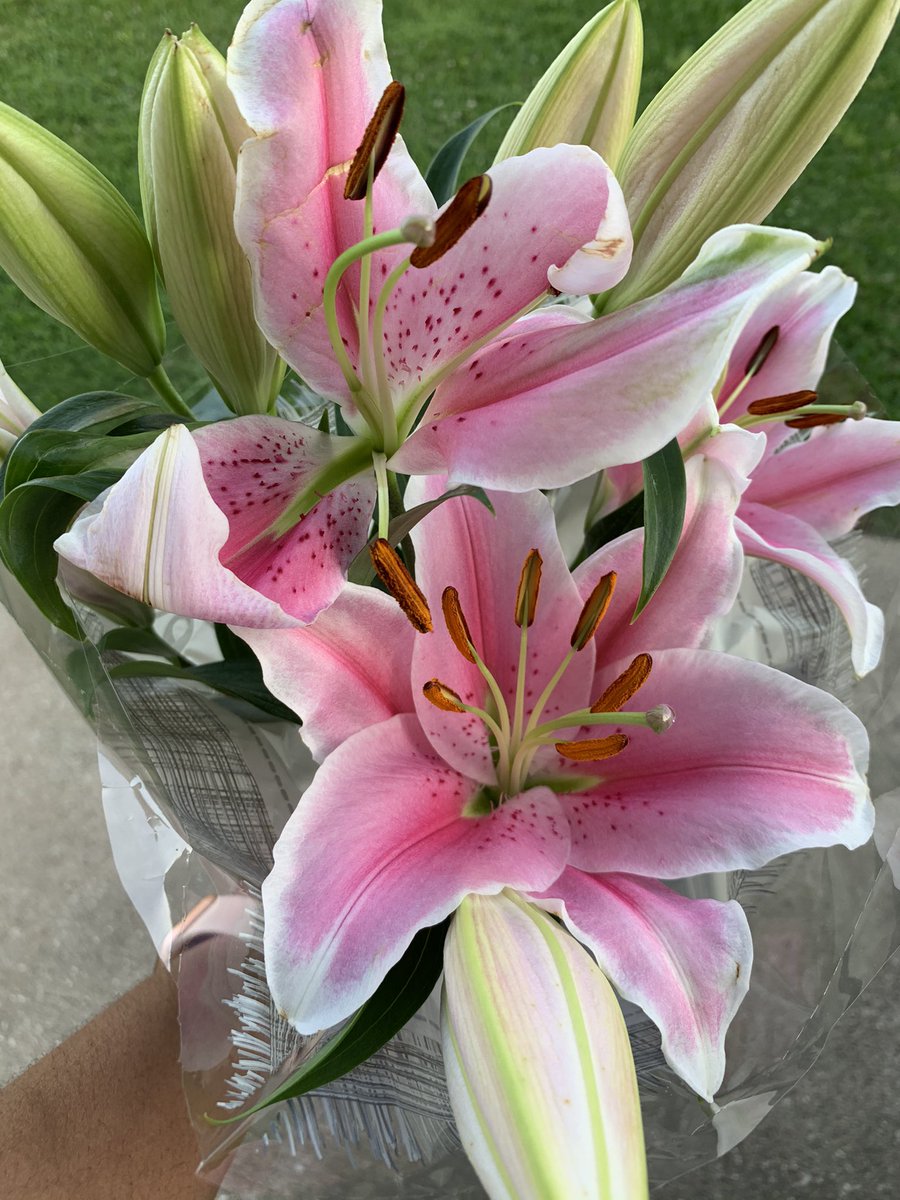 Thank you for the appreciation. The gifts, flowers and gifts cards are greatly appreciated! #AssistantPrincipalsWeek <a href="/MarshallES_SISD/">Marshall Elementary</a>