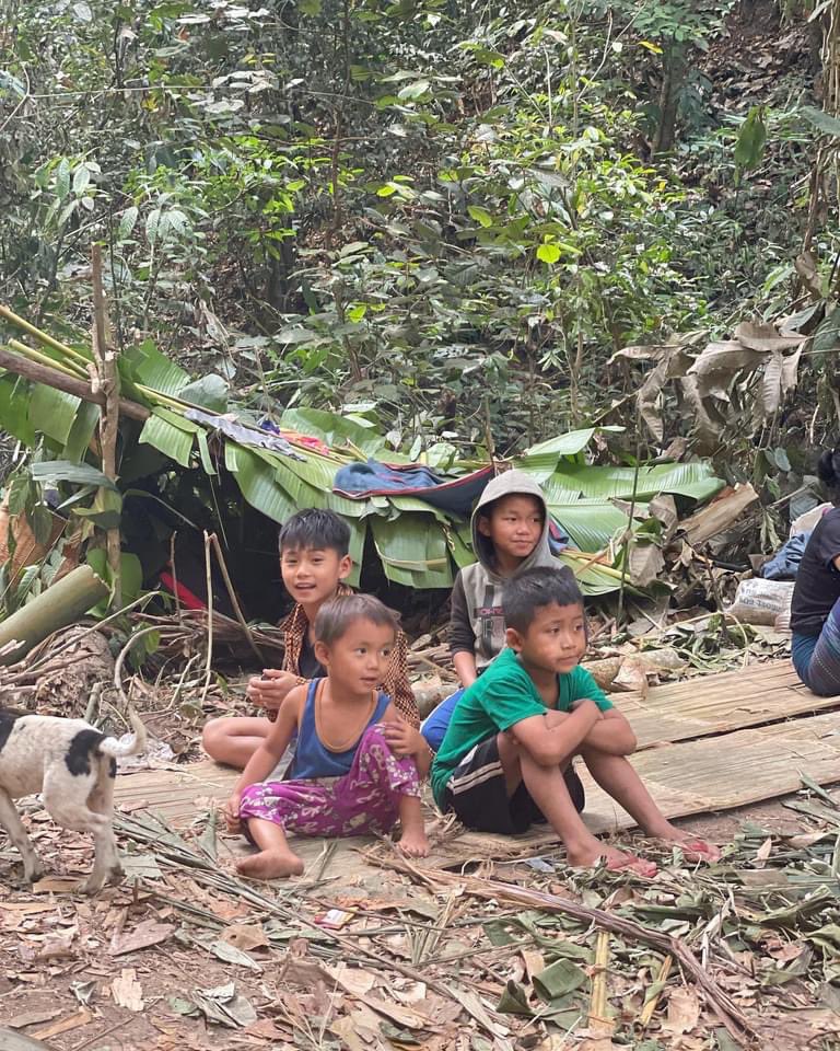 NantbwabwaPhan's tweet photo. Thank you very much everyone for your continued supports. It’s very much appreciated. The no. of villagers now homeless and hiding in the jungle has grown to 20,000 due to the recent bombing. Please continue your support by sharing and donating.  
https://t.co/1woFWn1arg https://t.co/pnrq08G69H