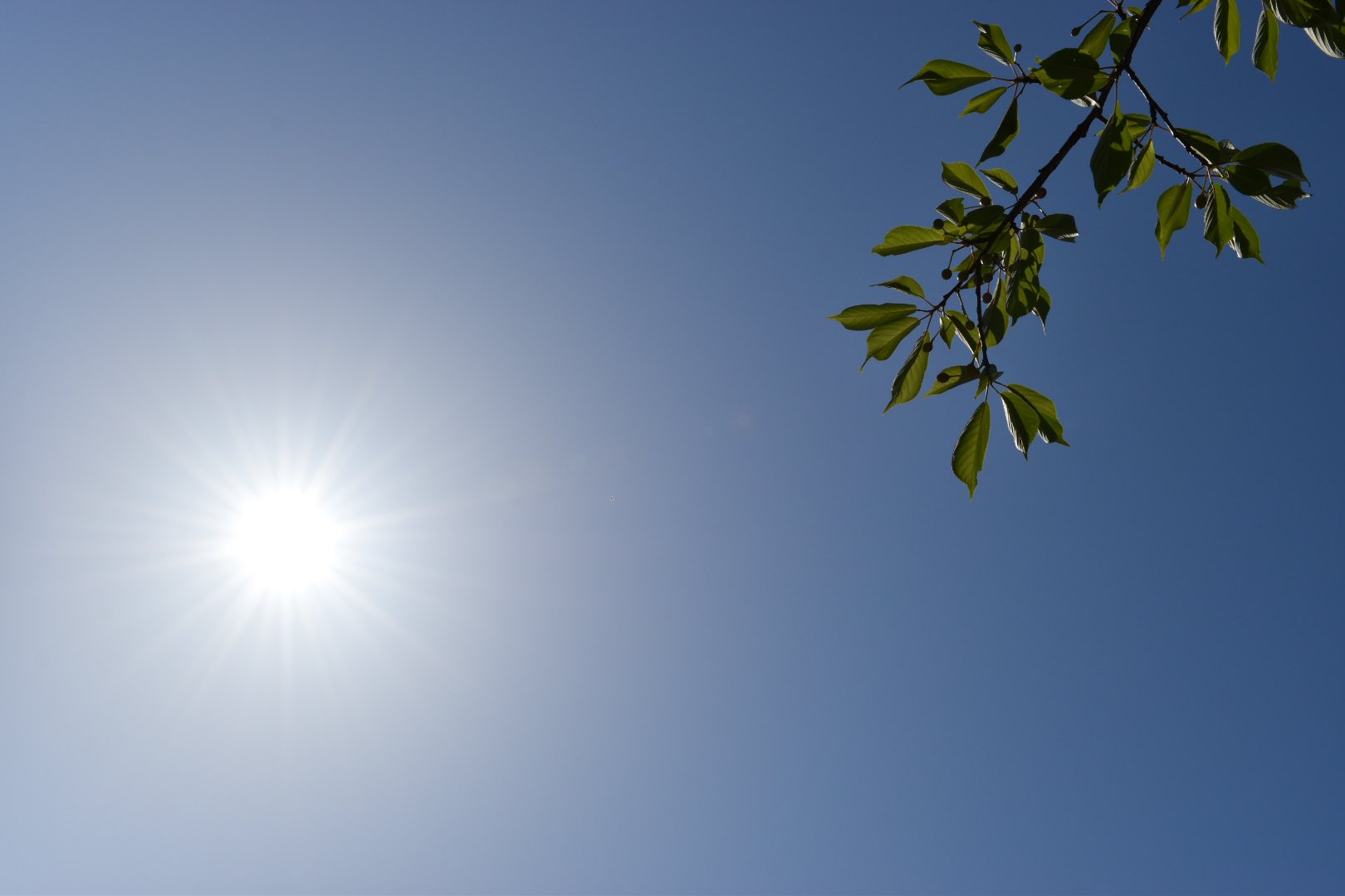 S 今日も天気よし 雲なくて綺麗な空 U 桜 晴れ 太陽 青空 イマソラ お散歩 お散歩日和な春 キリトリセカイ 一眼レフカメラ初心者 ファインダー越しの私の世界 T Co Kf7jlhmcxq Twitter