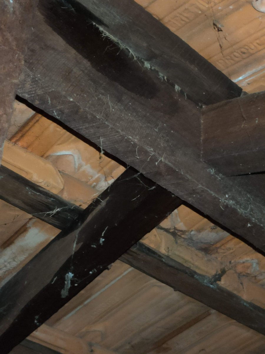 wood beam gungeon on Gary Grimtooth Garygames Ez Twitter