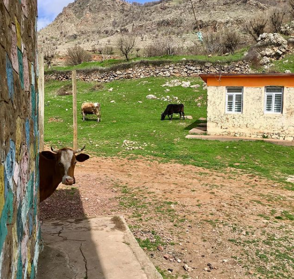 GÜNDEM BATMAN tweet media