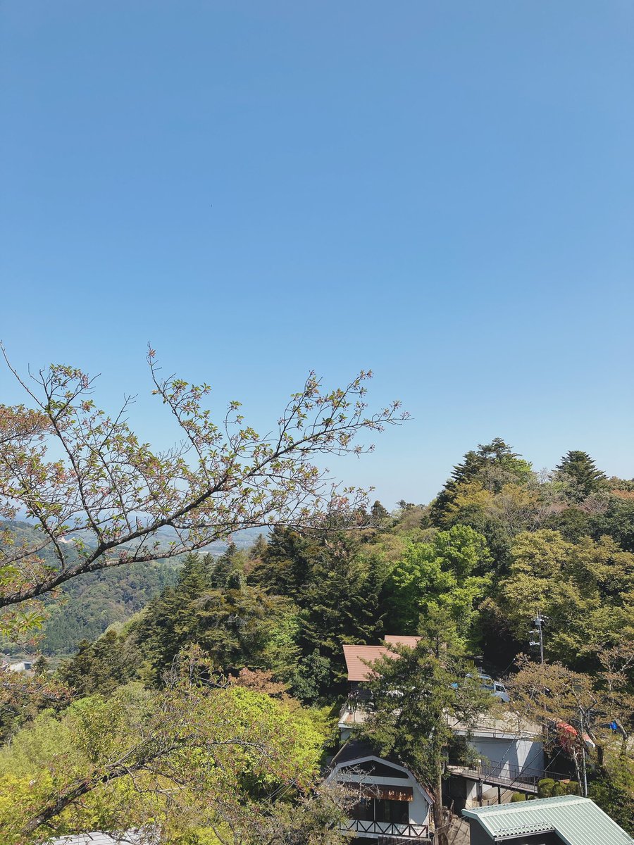 高尾山bbqマウント 高尾山展望レストラン Takao Beer Mt Twitter 高尾山bbqマウント 高尾山展望レストラン Takao Beer Mt Twitter