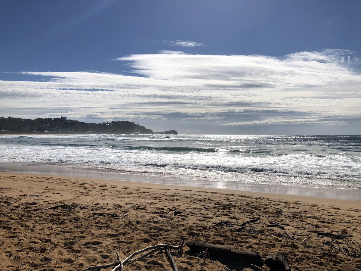 David O'Keefe tweet media