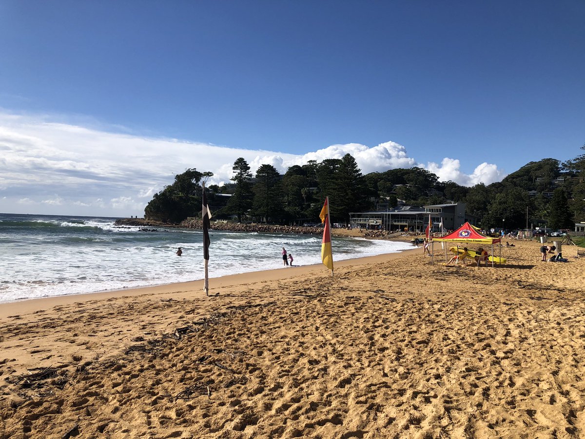 David O'Keefe tweet media