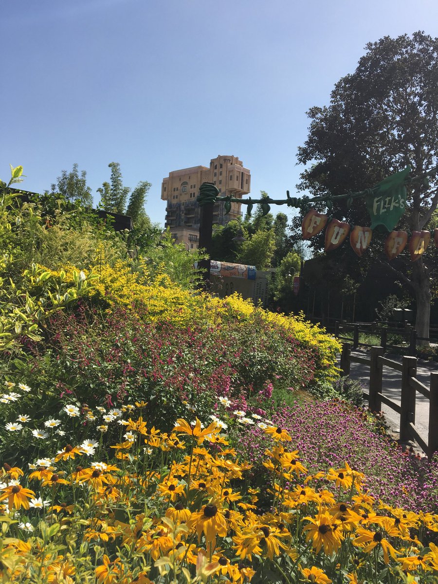 There’s no way Avengers Campus is better than this...#dca