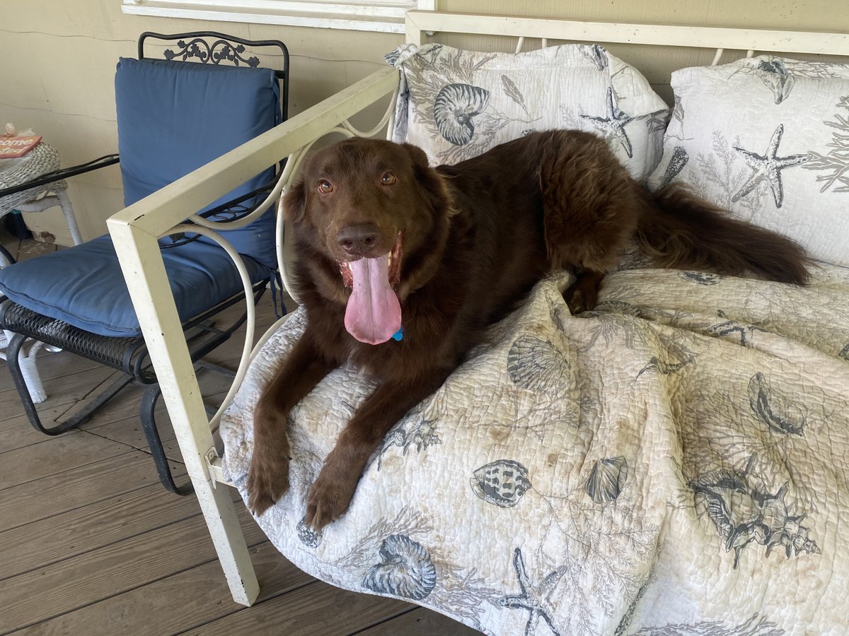 On The Go Concierge LLC tweet media