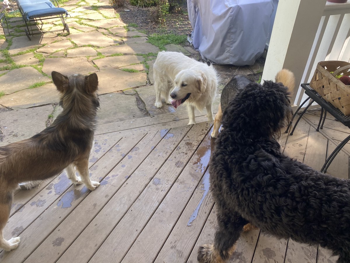 On The Go Concierge LLC tweet media