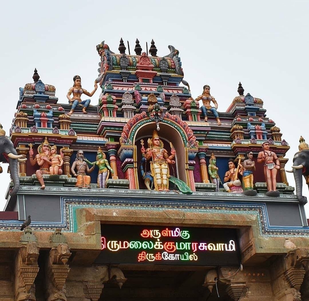 Bhattar conveyed the news to the Pandalam Raja and they went to find out the vigraham. Surprisingly ants showed the way to find the Vigraham. Thus Murugan vigraham was found and Prathista was done here. There is a lake with pure water on the top of the hill