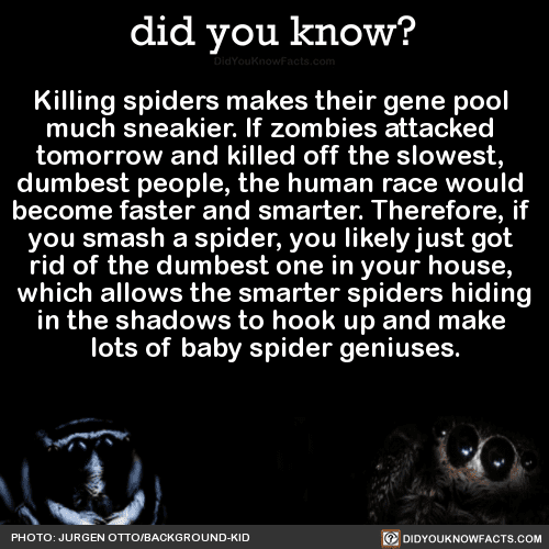 ScareStreet tweet media