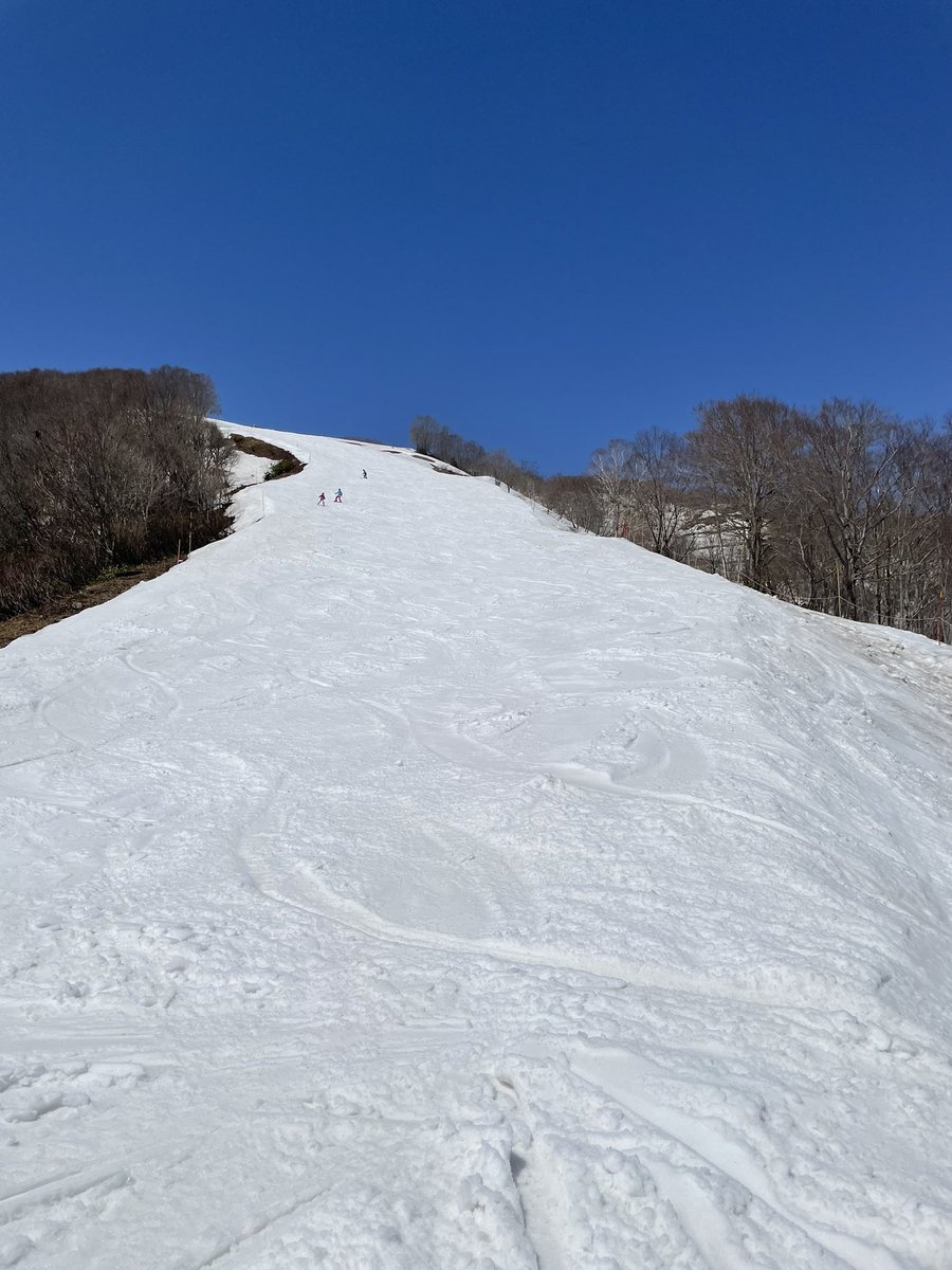 Kon 白馬47スキー場なう ぽかぽか天気 絶景 スキー 楽しいです