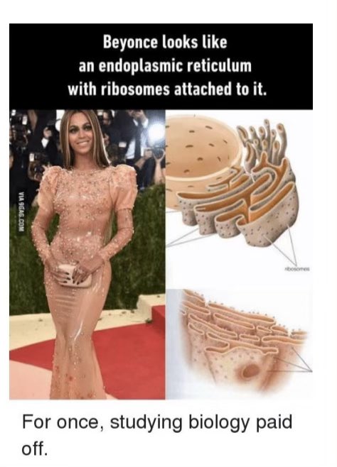 I’ve talked about my wife’s professor that sends 400+ slide decks.

So now it’s time to talk about her new professor who specifically adds Beyoncé into nearly every slide.

This is already an improvement.