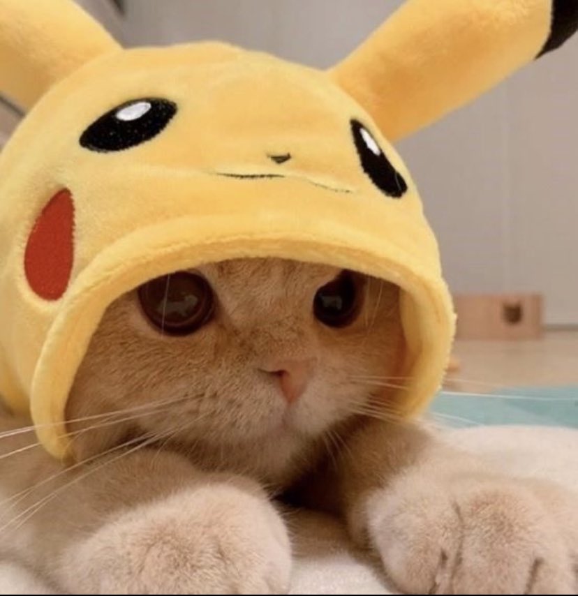 pickachu cat says you are a kind person — [♡] ;