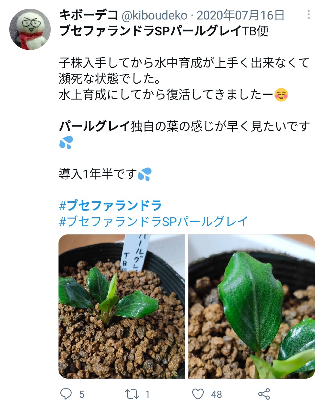 X-এ キボーデコ: X-এ キボーデコ: