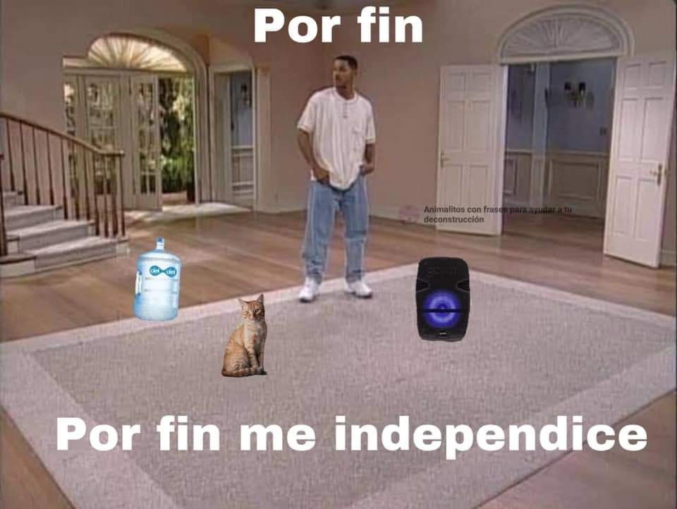 pablohvargas_'s tweet image. Ya me pinto