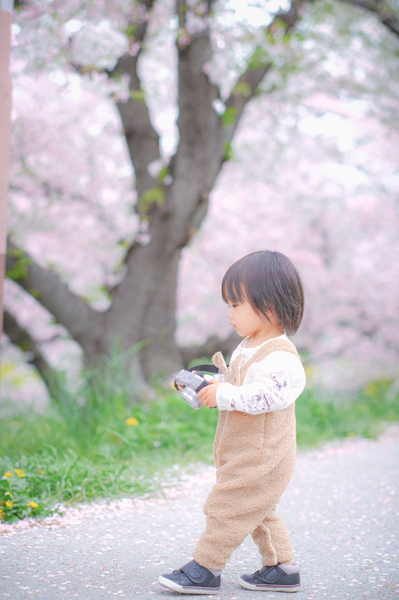 Fuji_Kent's tweet photo. 仕事が忙しかろうが
体調が悪かろうが
こんな写真が撮れた僕は
幸せ者です🌸 https://t.co/4ocLLJVXaM