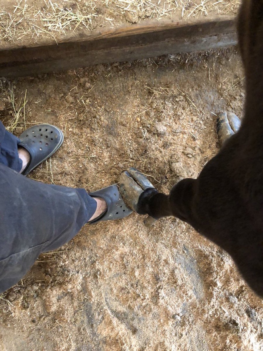 隣にいた女性にさりげなくボディタッチされた男性 第三者から見たらかなりヤバい状況だが本人は満更でもない様子 Togetter