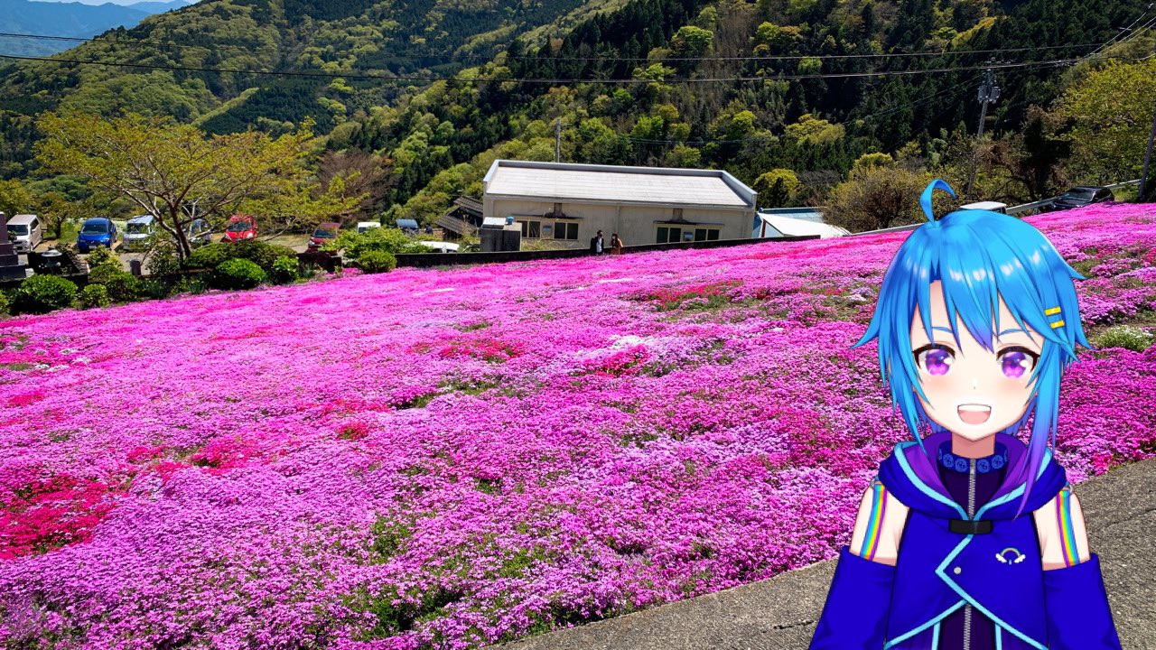 蒼藍アオ 徳島ご当地vtuber 限定グッズ予約受付中 脇町の 広棚芝桜がちょうど満開の見頃の時期やけん やってきたんよ なかなかの高発色花畑 きれいっ ゚ ゚ ぬくぬくのいい天気 で良かった 徳島 四国 美馬市 脇町 広 蒼藍アオ 徳島ご当地vtuber 限定グッズ予約受付中 脇町の 広棚芝桜がちょうど満開の見頃の時期やけん やってきたんよ なかなかの高発色花畑 きれいっ ゚ ゚ ぬくぬくのいい天気 で良かった 徳島 四国 美馬市 脇町 広