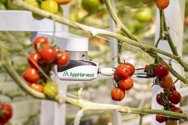 AINewsInt's tweet image. #AppHarvest acquires #ArtificialIntelligence farming startup #RootAI foodbev.com/news/appharves…

As part of the deal, AppHarvest will gain access to Root #AI’s signature robot Virgo. According to the press release, Virgo is the world’s first universal harvester

#AINewsInternational