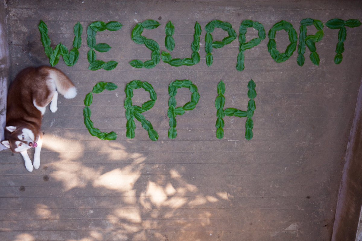 _t_s_o_'s tweet photo. ||| , Freedom ,Justic and Democracy are needed by not only Humen but also my dog ASAP. #WhatsHappenigInMyanmar #GreenDayStrike #April11Coup https://t.co/2dQZDpHqde