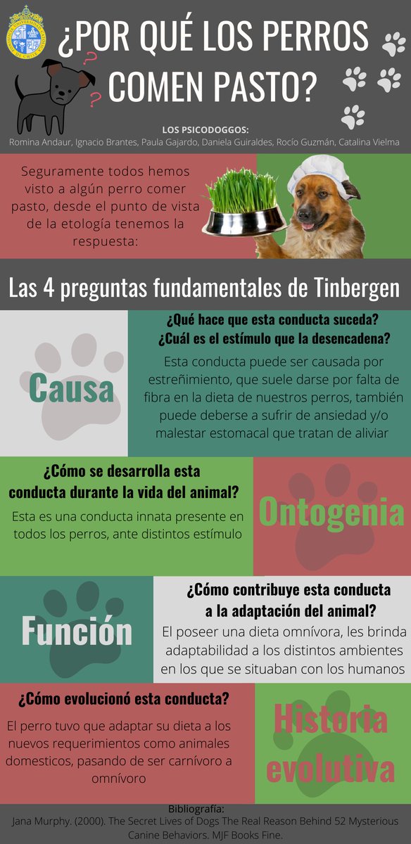 Esto nos causa curiosidad a todos