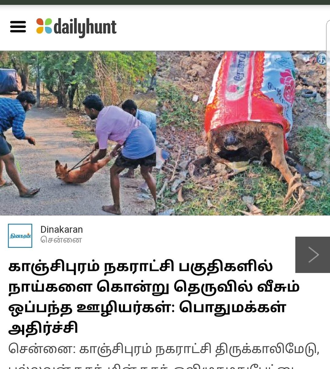 ContractWorkers KILLDogs&Throw them on the street in KanchipuramMunicipalAreas
#NoMore50
How Can WE AllowThis? @girirajsinghbjp @AnubhavMohanty_ @asharmeet02 @ADMK_Kanchi @SPVelumanicbe @chennaicorp @KanchiRmm @KanchiNorthDCC @TamilTheHindu @cmotamilnadu1 @DikshitSmita @PetaIndia