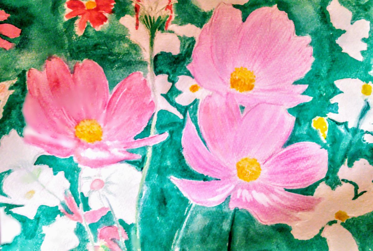 Twoucan 秋桜 の注目ツイート イラスト マンガ