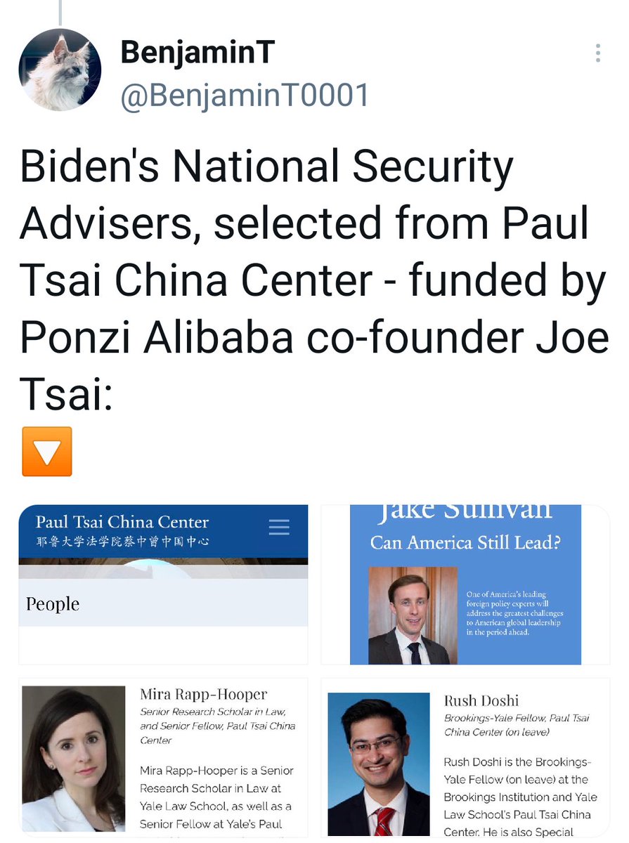 Nicholas Rostow, ex counsel to NSC, senior research scholar at Yale Law School - where there's a Paul Tsai China Center - 耶魯大學法學院蔡中曾中國中心 - funded with $35M from Ponzi Alibaba's co-founder &  @BrooklynNets owner Joe Tsai.