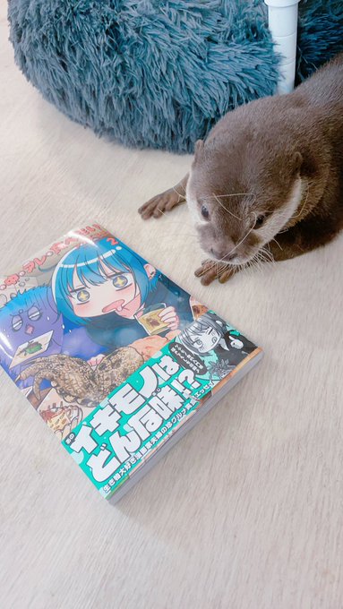 アタマの中のアレを食べたい2、4月20日発売です。献本届いた!
カワウソを宣伝隊長に任命しようとしたけど失敗しました 