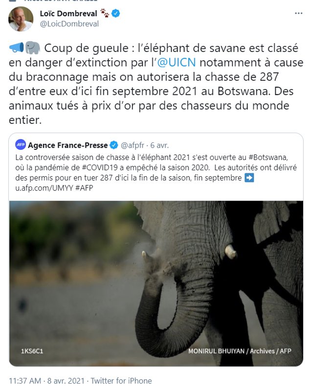 renaudDdL's tweet photo. Non ! l’éléphant de savane n’est pas en danger d’extinction. Vous confondez mais on a l’habitude de vos connaissances de la Nature. Il se porte très bien et les pays d’Afrique Australe doivent les gérer. LET AFRICA LIVE ! Halte au colonialisme vert ! https://t.co/LxhNPHw4a8