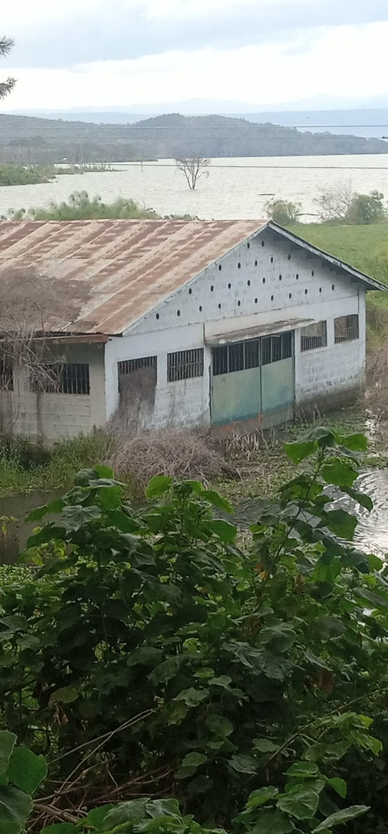 <a href="/Desertedpicx/">Deserted</a> Naivasha, kenya. Deserted warehouse.