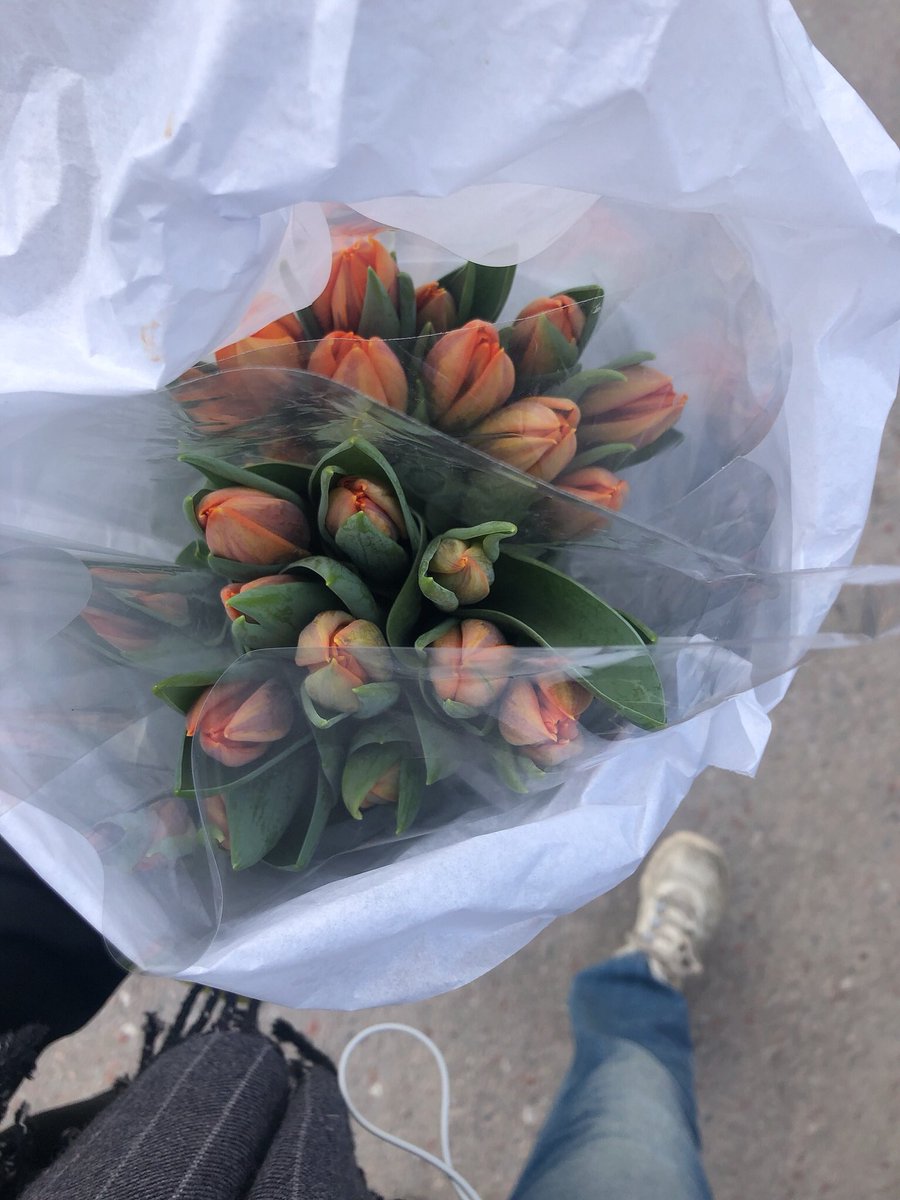 LinneaSvedlund's tweet photo. 🐰 https://t.co/rDemcmntvj