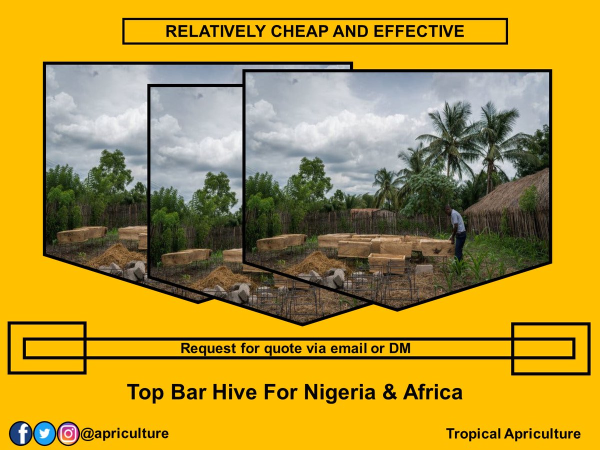 apriculture's tweet photo. Relatively cheap and effective technology - top bar hive for Nigeria and Africa. Request for quote via email: tropicalapriculture@gmail.com or send DM.#topbarhive #ktbh #beehive #hive #beetechnology #beekeeping #apiculture #bees #management #naija #honeydecay #tropicalapriculture https://t.co/Nbkdai9xwn